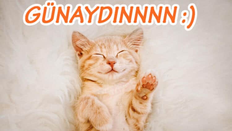 En güzel Günaydın Mesajları