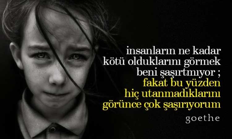 Resimli Goethe Sözleri