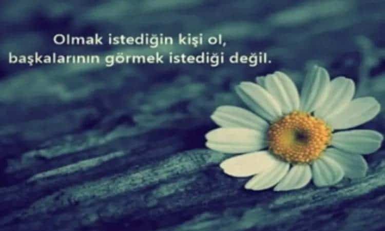 Instagram Biyografi Sözleri