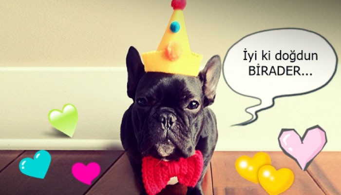 Doğum günü mesajı komik